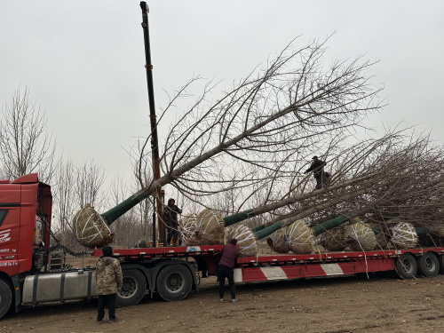 青青草污APP下载